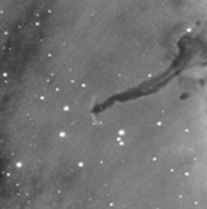  IC5070 Nebulosa Pellicano o Pelican Nebula con Herbig-Haro 555 | Avogadro Observatory
